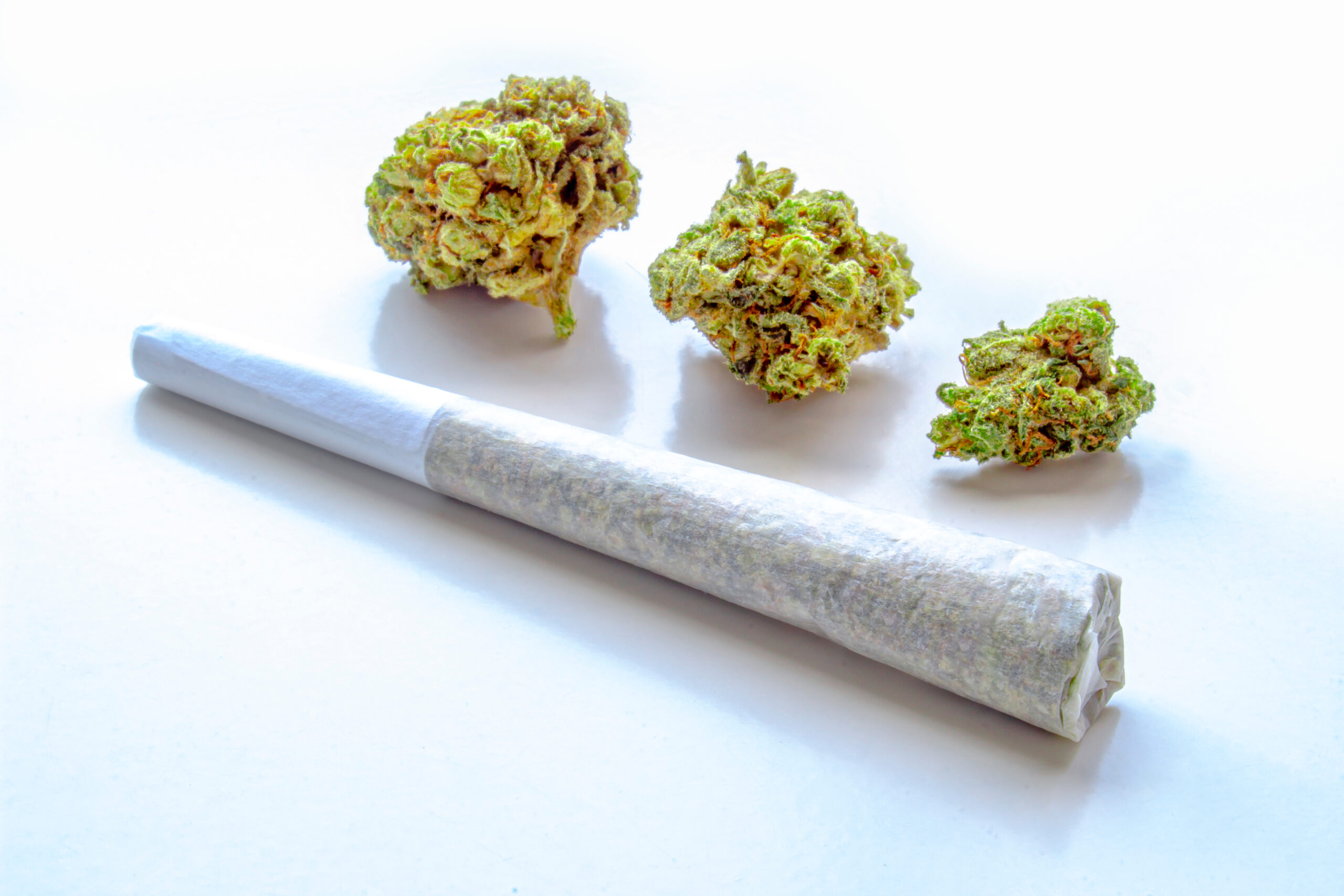 Pre-Roll Aliquam Ododiam