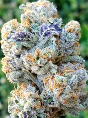 Slurricane #7 S1- 3.5g Indica/Sativa